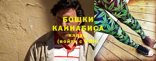 дурь Арсеньев