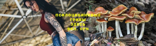 дурь Арсеньев