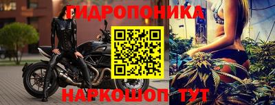 мяу мяу мука Усть-Джегута