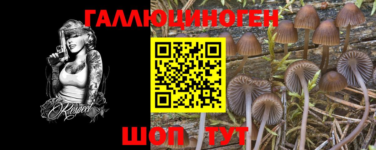 Галлюциногенные грибы Magic Shrooms  Вход с VPN  Полысаево 
